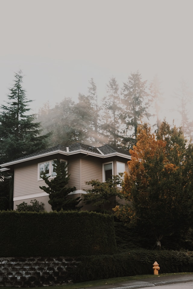 Concrete contractor in Newcastle, WA