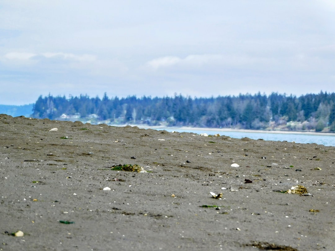 Concrete contractor in Shoreline, WA